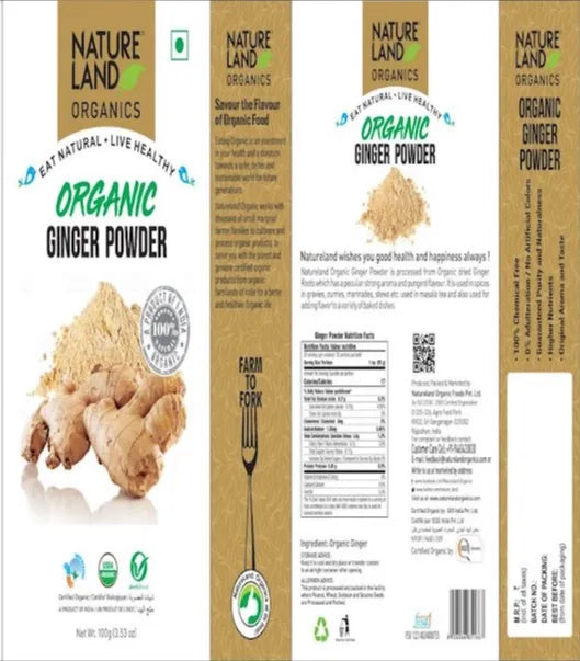 Ginger Powder 100 Gm