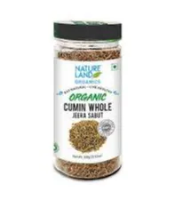 Cumin Whole 100 Gm